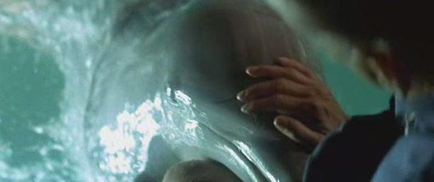 Кадр из фильма День дельфина / The Day of the Dolphin (1973)