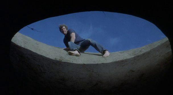 Кадр из фильма Фаза 4 / Phase IV (1974)