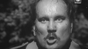 Кадры из фильма Мы - хлопцы живучие (1974)