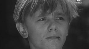 Кадры из фильма Мы - хлопцы живучие (1974)