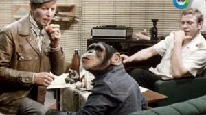 Кадры из фильма Великий укротитель (1974)