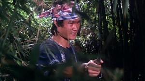 Кадры из фильма Небесный ястреб / Huang Fei-hong xiao lin quan (1974)
