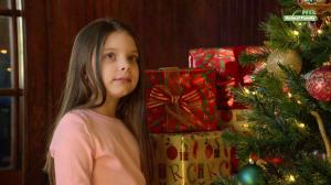 Кадры из фильма Приключения Бэйли: Рождественский герой / Adventures of Bailey: Christmas Hero (2012)