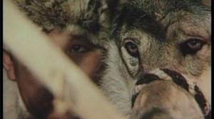 Кадры из фильма Лютый / Кок серек (1974)