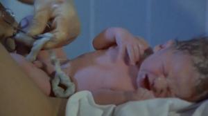 Кадры из фильма Вся жизнь / Toute une vie (1974)