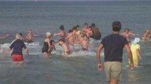 Кадры из фильма Челюсти / Jaws (1975)