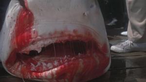 Кадры из фильма Челюсти / Jaws (1975)
