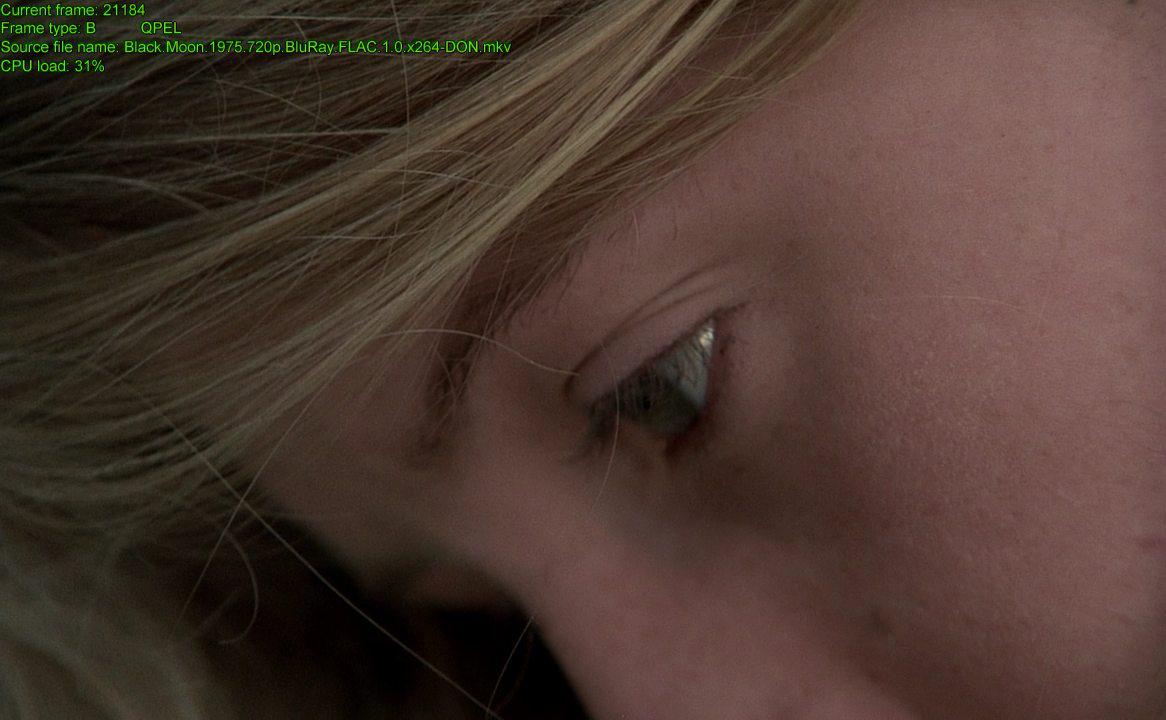 Кадр из фильма Черная луна / Black Moon (1975)