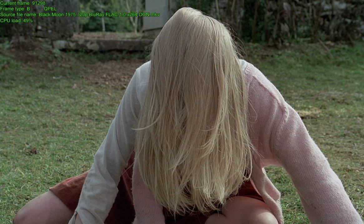 Кадр из фильма Черная луна / Black Moon (1975)