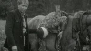 Кадры из фильма Волчья стая (1975)