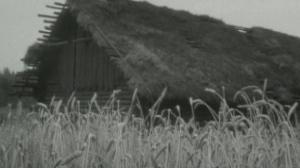 Кадры из фильма Волчья стая (1975)