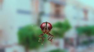 Кадры из фильма Муха / Eega (2012)