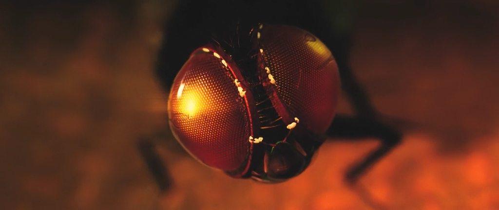 Кадр из фильма Муха / Eega (2012)