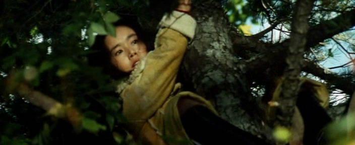 Кадр из фильма Опасная погоня / Kimi yo fundo no kawa wo watare (1976)