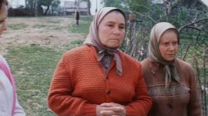 Кадры из фильма Вдовы (1976)