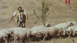 Кадры из фильма Термометр (1976)