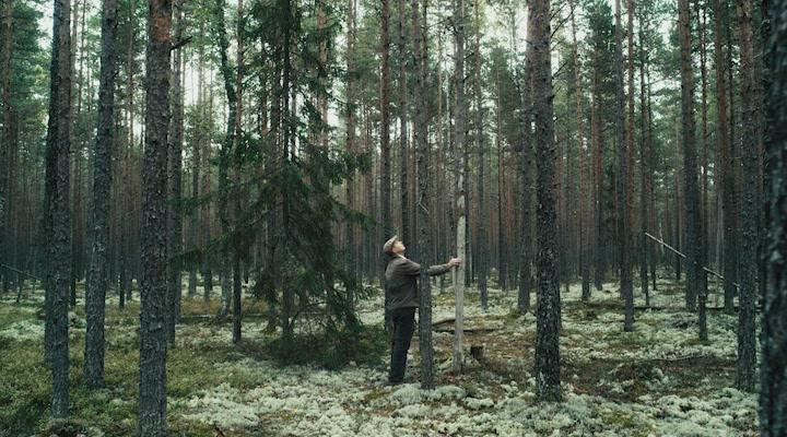 Кадр из фильма По грибы / Seenelkäik (2012)