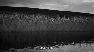 Кадры из фильма Пловец / The Swimmer (2012)