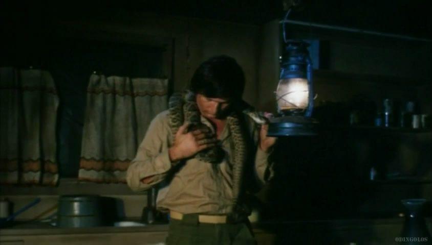 Кадр из фильма Стэнли / Stanley (1972)