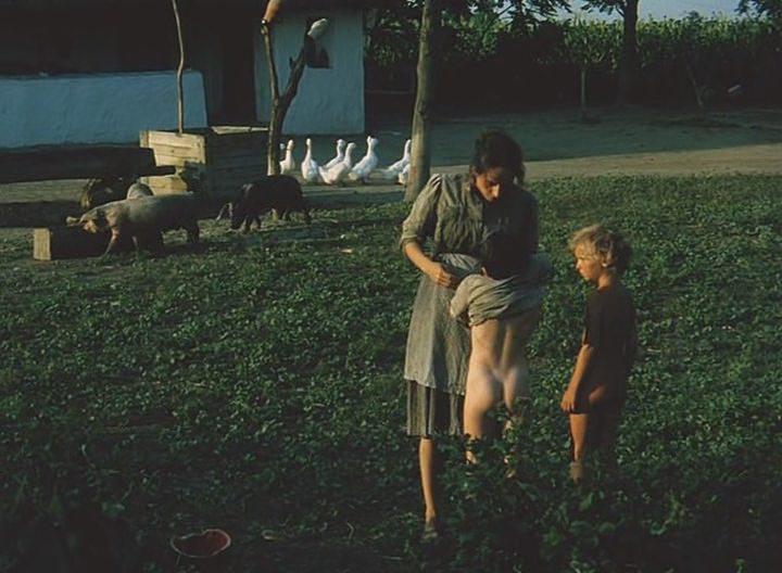 Кадр из фильма Сиротка / Árvácska (1976)