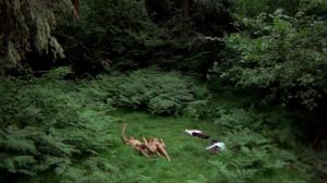 Кадры из фильма Лучший способ маршировки / La meilleure façon de marcher (1976)