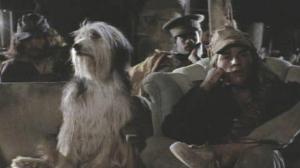 Кадры из фильма Парень и его пёс / A Boy and His Dog (1976)