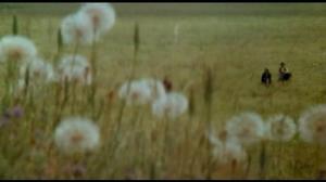 Кадры из фильма Излучины Миссури / The Missouri Breaks (1976)