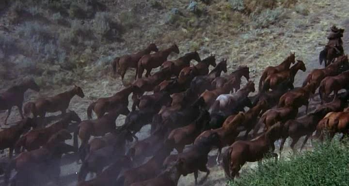 Кадр из фильма Излучины Миссури / The Missouri Breaks (1976)