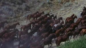 Кадры из фильма Излучины Миссури / The Missouri Breaks (1976)
