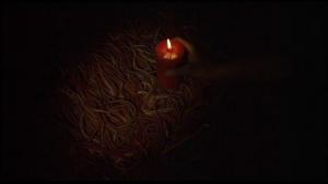 Кадры из фильма Корча / Squirm (1976)