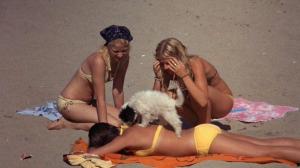 Кадры из фильма Спасатель / Lifeguard (1976)
