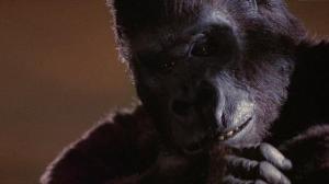 Кадры из фильма Кинг Конг / King Kong (1976)