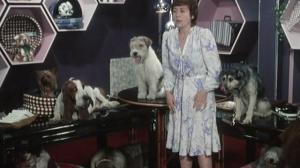 Кадры из фильма Беги за мной, чтоб я тебя поймала / Cours apres moi que je tattrape (1976)