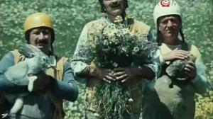 Кадры из фильма Бабочка (1977)