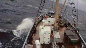 Кадры из фильма «Посейдон» спешит на помощь (1977)