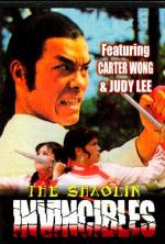 Неуязвимые из Шаолиня / Yong zheng ming zhang Shao Lin men (1977)