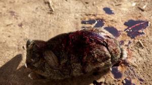 Кадры из фильма Пять патронов / 5 Shells (2012)