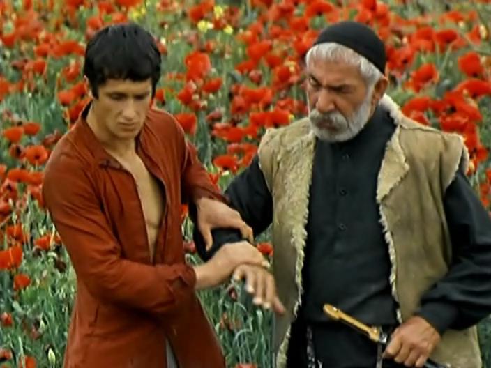 Кадр из фильма Древо желания (1977)