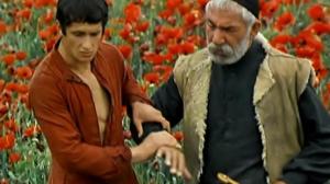Кадры из фильма Древо желания (1977)
