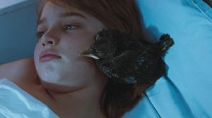 Кадры из фильма Галчонок / Kauwboy (2012)