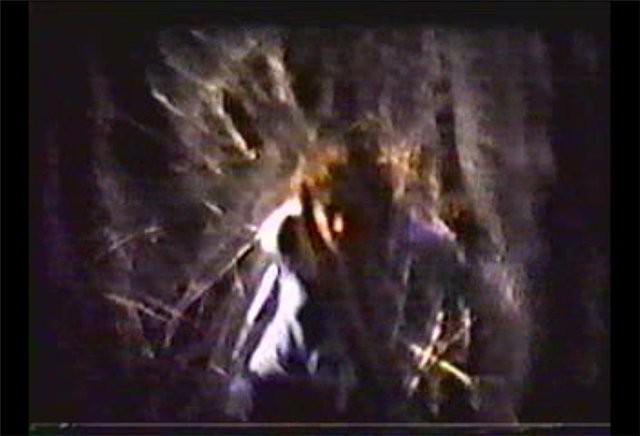 Кадр из фильма В лесах / Within the Woods (1978)