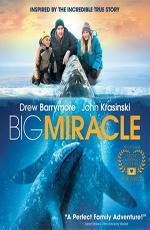 Все любят китов / Big Miracle (2012)