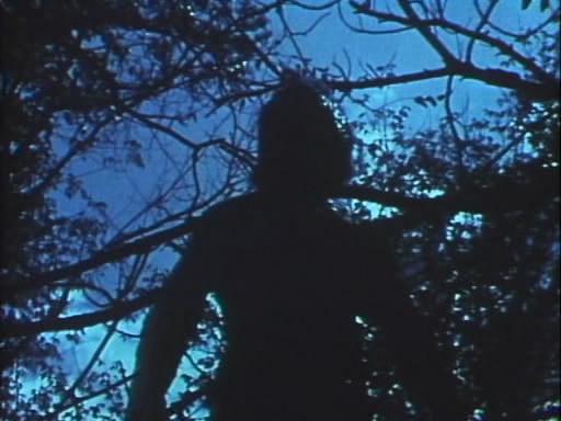Кадр из фильма Чужеродный фактор / The Alien Factor (1978)