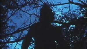Кадры из фильма Чужеродный фактор / The Alien Factor (1978)