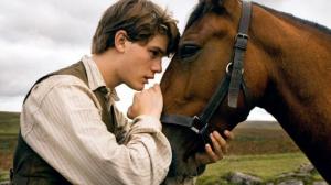 Кадры из фильма Боевой конь / War Horse (2012)