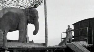 Кадры из фильма Солдат и слон (1978)