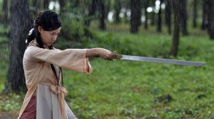 Кадры из фильма Кровавое письмо / Thien Menh Anh Hung (2012)