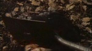 Кадры из фильма Отпущение грехов / Absolution (1978)