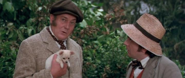 Кадр из фильма Собака Баскервилей / The Hound of The Baskervilles (1978)