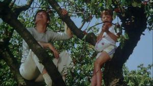 Кадры из фильма Встреча в июле / Setkání v červenci (1978)